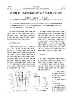 大跨度鋼-混凝土組合結(jié)構(gòu)在實(shí)際工程中的應(yīng)用