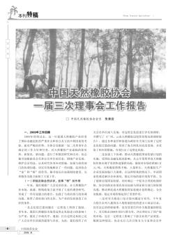 中国天然橡胶协会一届三次理事会工作报告