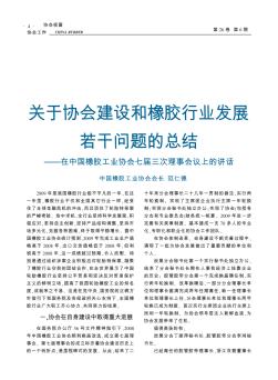 关于协会建设和橡胶行业发展若干问题的总结——在中国橡胶工业协会七届三次理事会议上的讲话