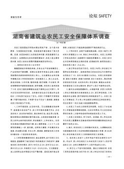 湖南省建筑业农民工安全保障体系调查