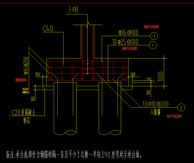  检查我的桩承台钢筋布置是否正确？