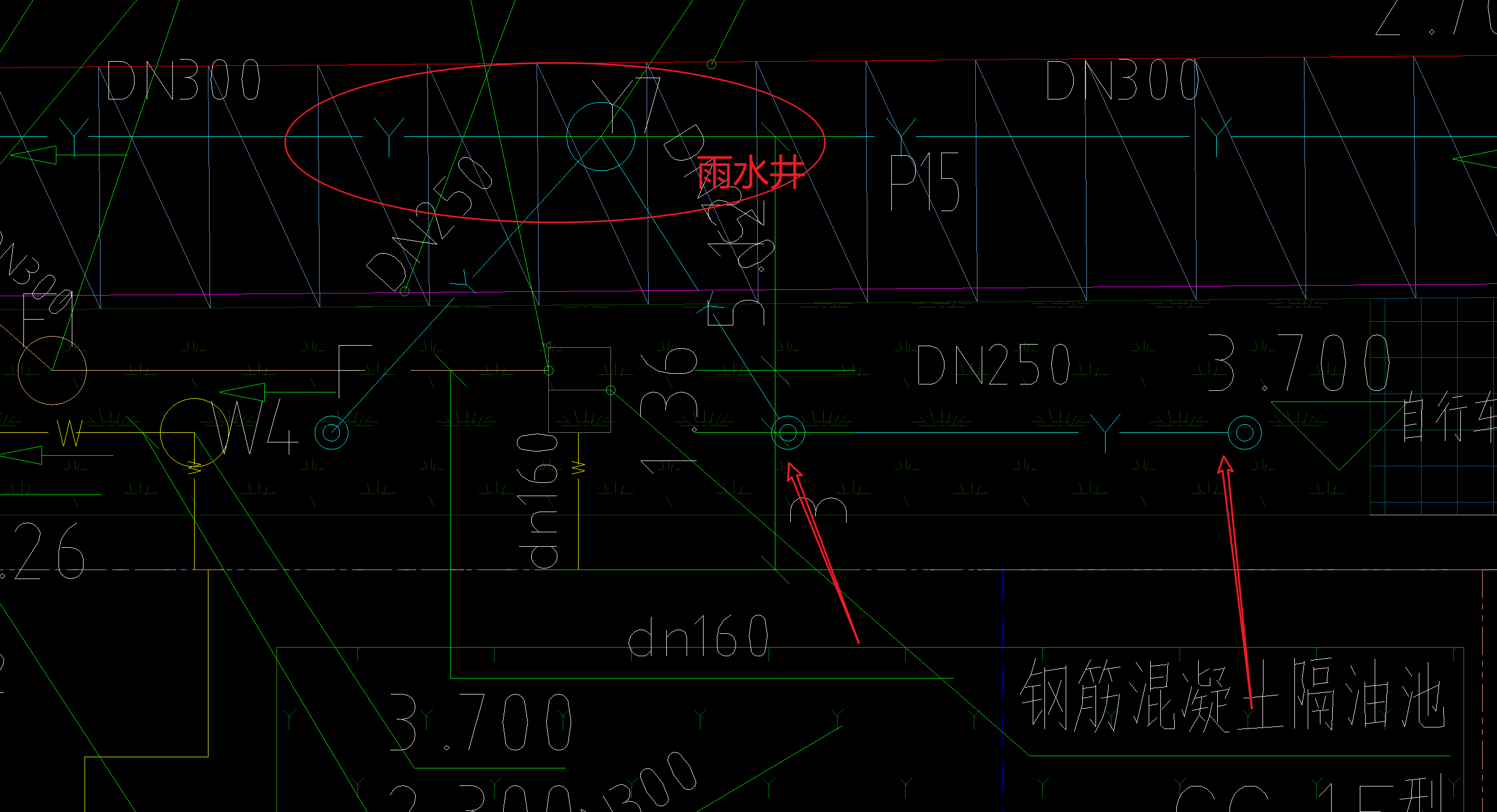  识别图中箭头指示的物体是什么？
